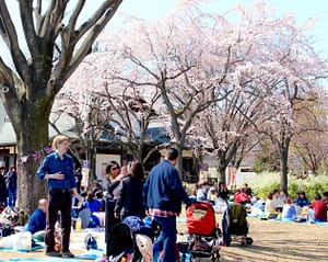 大阪城の西の丸庭園