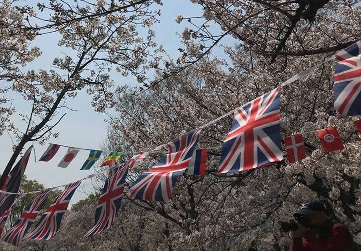 お花見　大阪城　2019