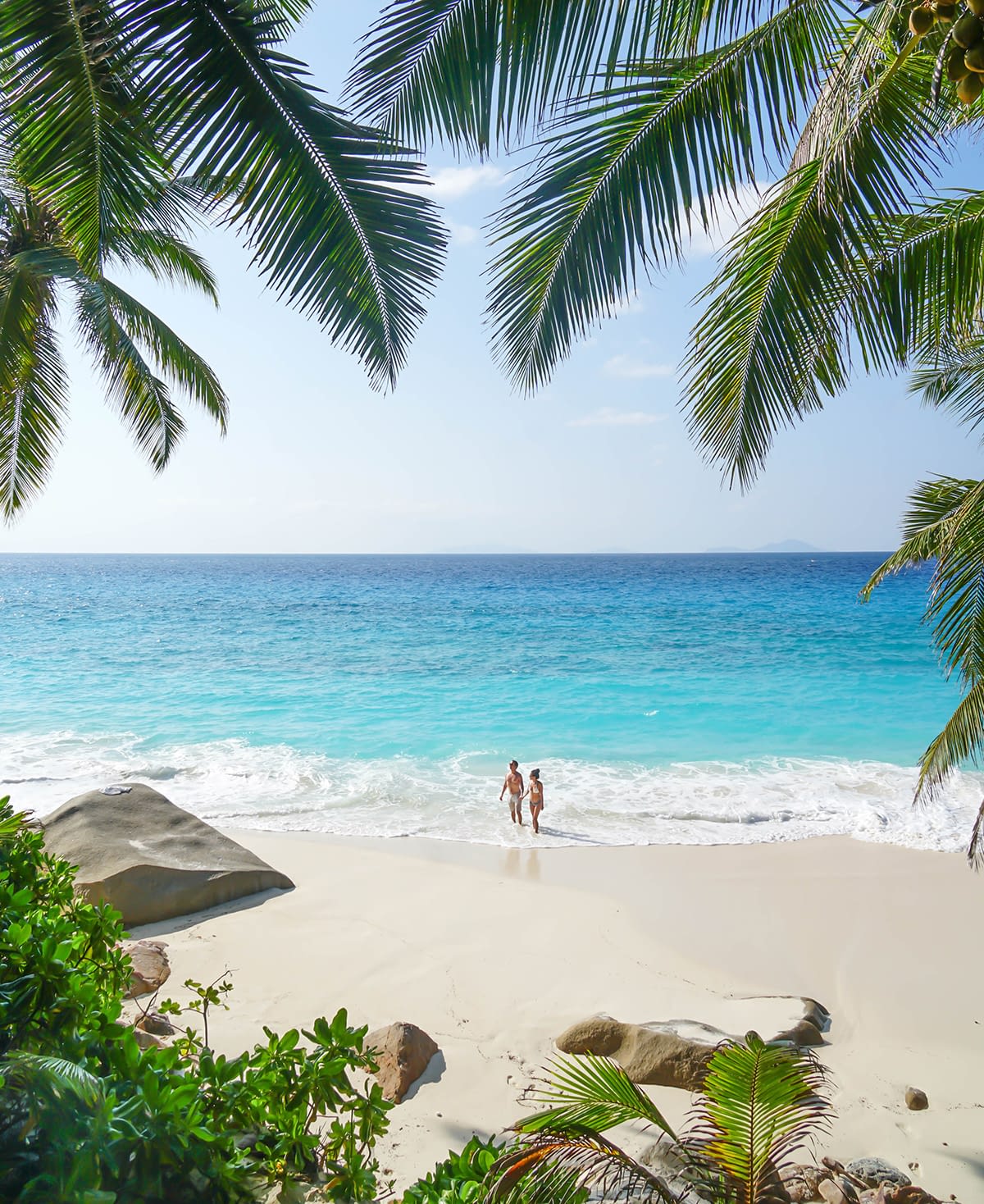 セーシェル諸島 Plus Alpha Tokyo Snsマーケティング