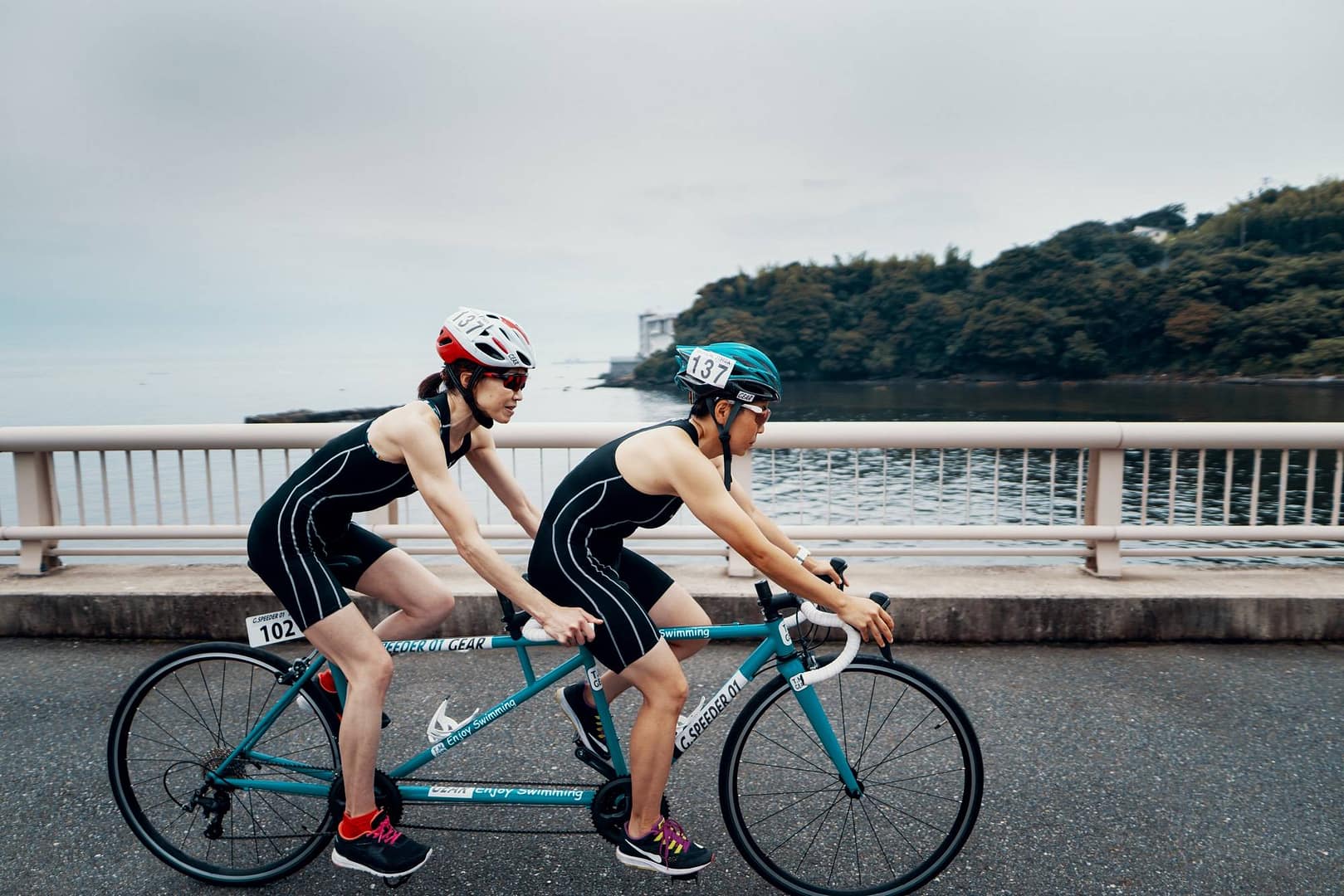 K-Suzuki ©Trevor Williams 2019