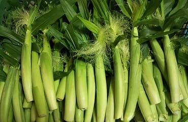 ひげがおいしい 皮付きヤングコーン