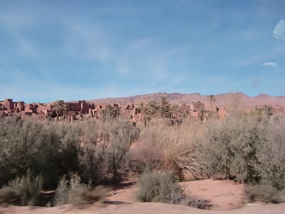 CIMG2475