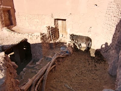 CIMG2489
