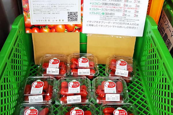 ロッソナポリタン出荷始まりました