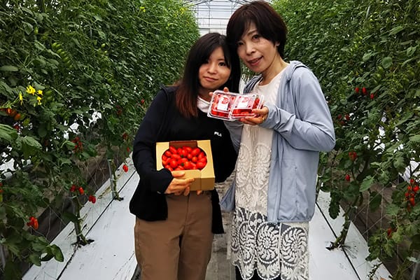 美肌トマト「ロッソナポリタン」食べ放題