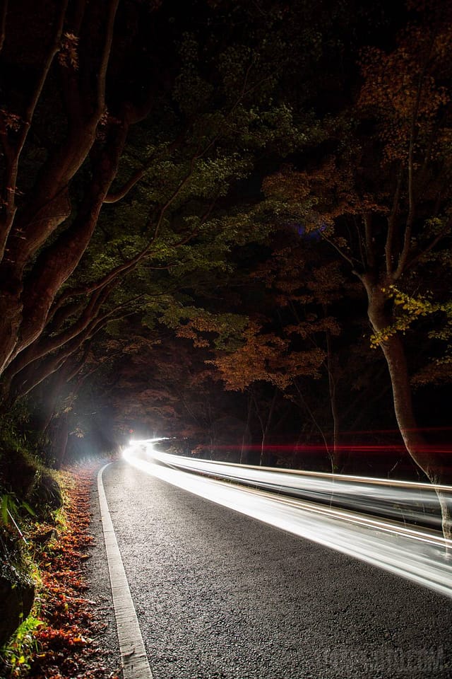 f/5.6, ISO 400, driving towards the camera. Lit only with headlights.
