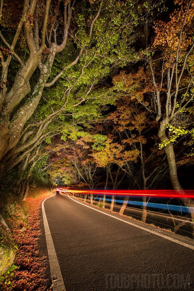 f/5.6, ISO 400, Driving away from the camera. Lit with headlights and the LED Lenser X21.2R.