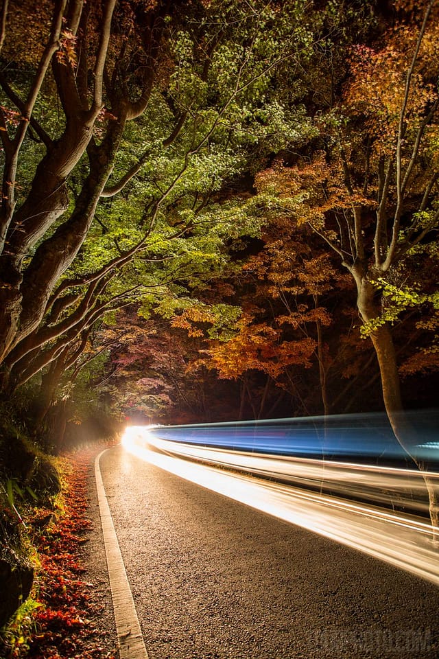 f/5.6, ISO 400, Driving towards the camera. Lit with headlights and the LED Lenser X21.2R.