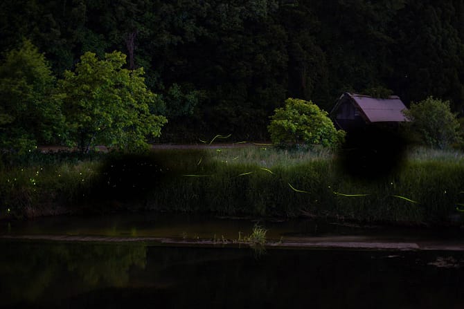 A frame with some sections masked out in black