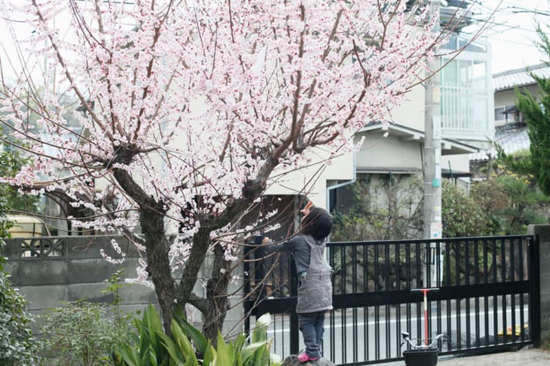 20120326094223