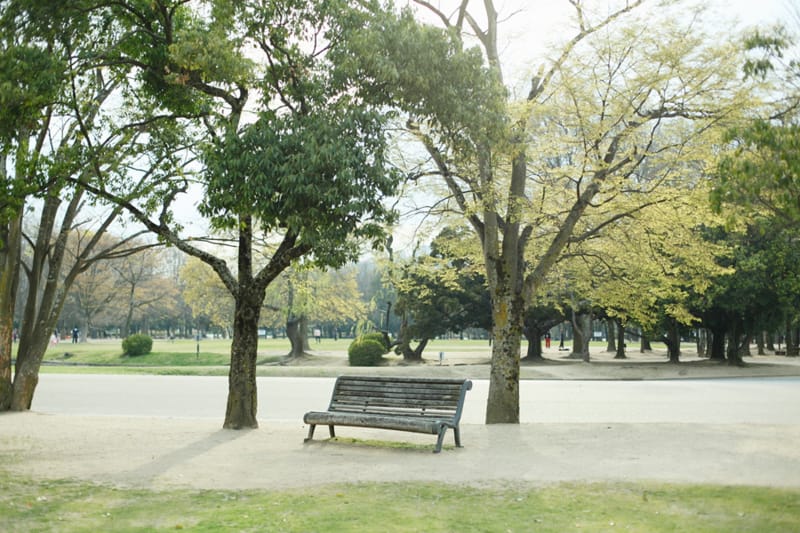 20130403100703