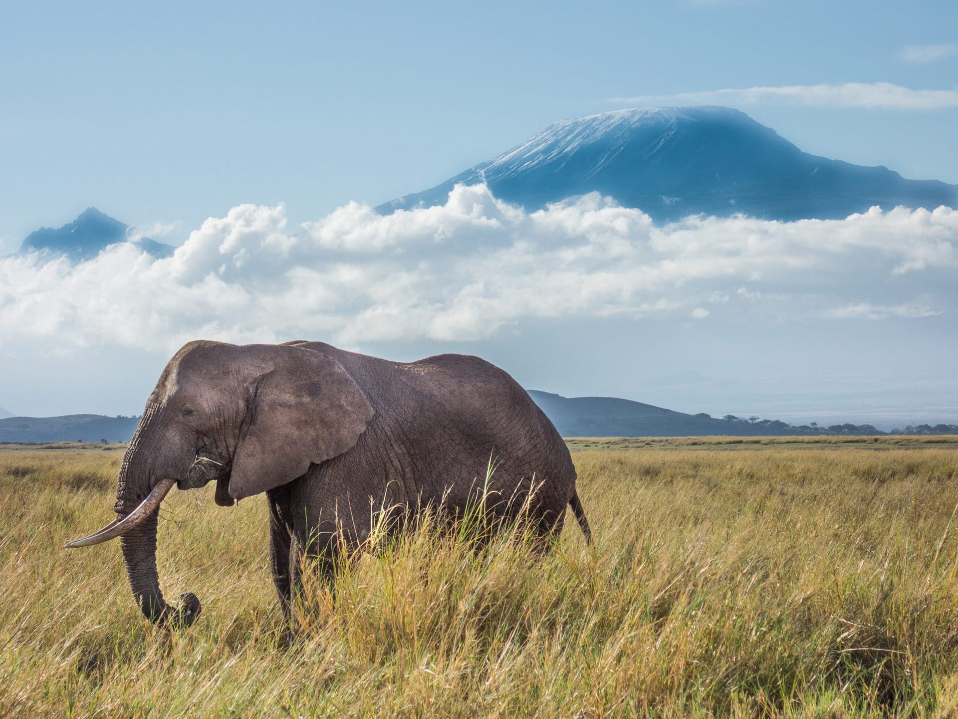 Magical Kenya Tourism