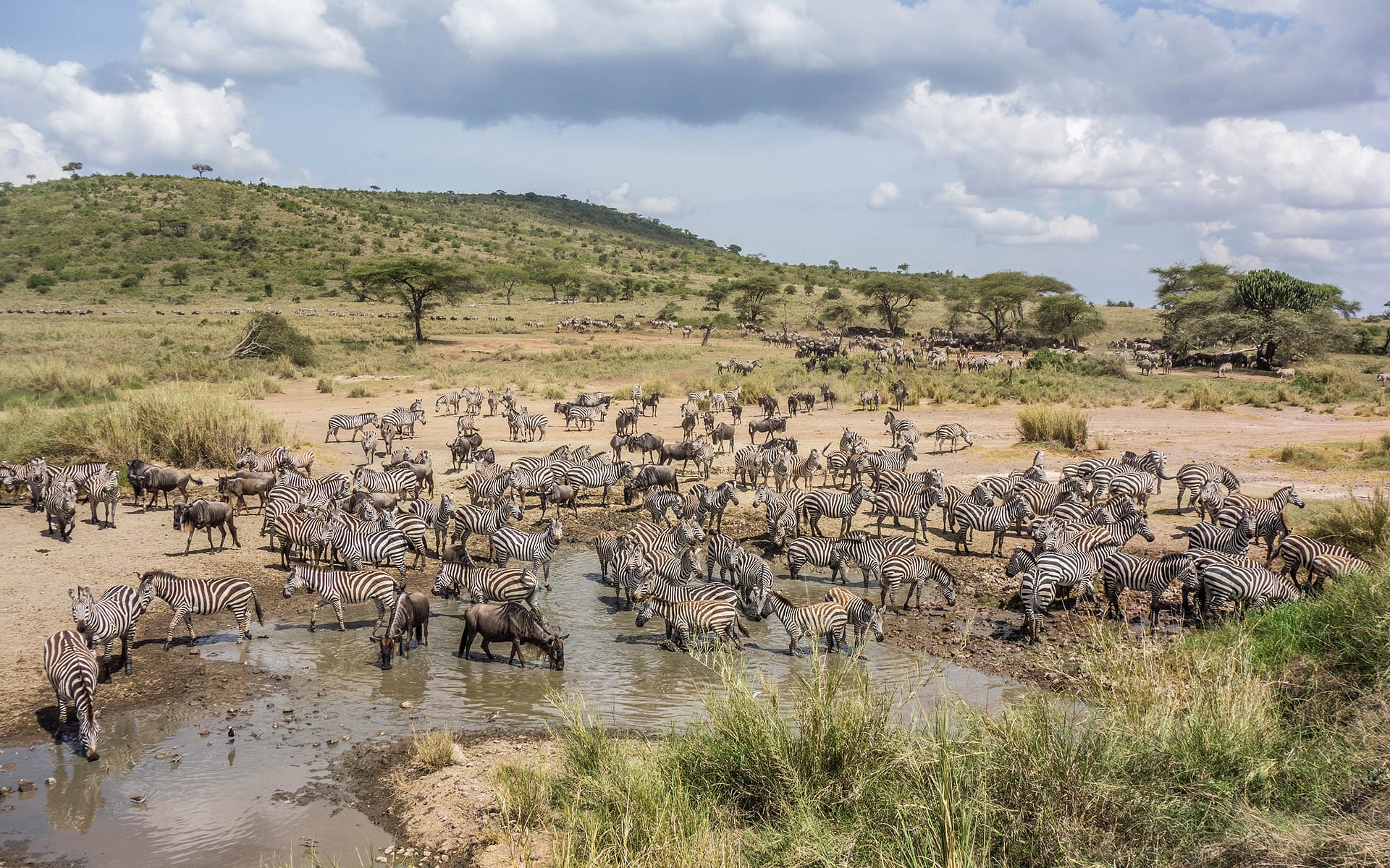 Four Seasons Safari Lodge Serengeti