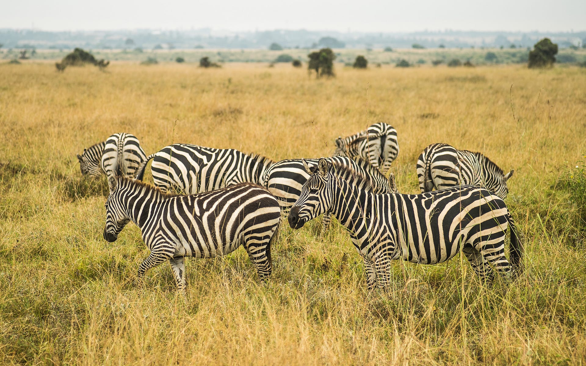 Four Points by Sheraton, Nairobi Airport