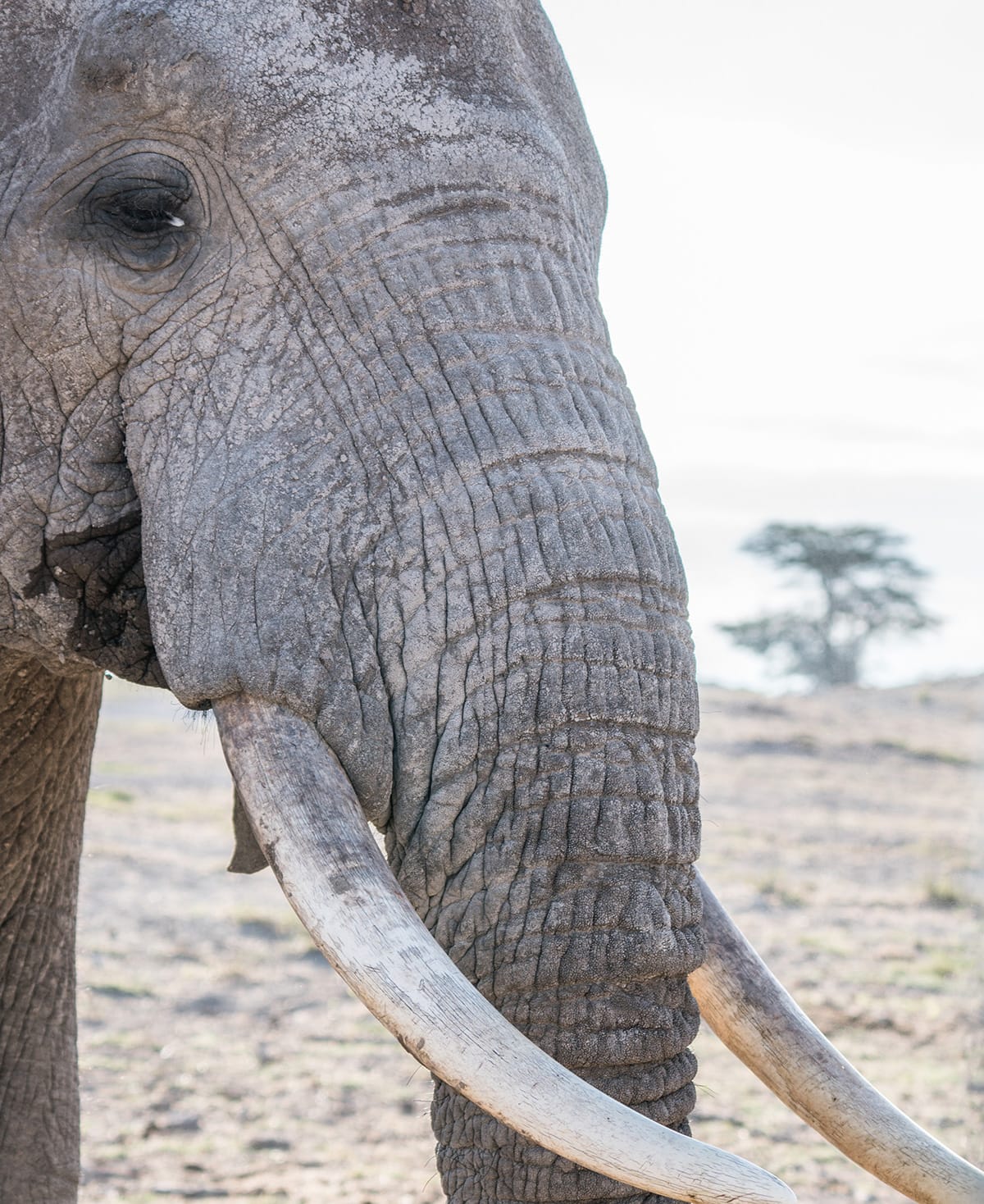 Magical Kenya Tourism