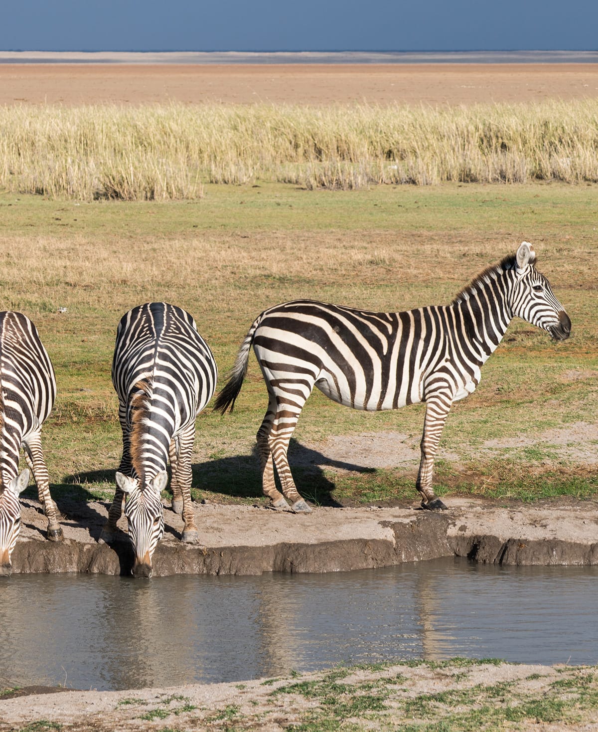Magical Kenya Tourism
